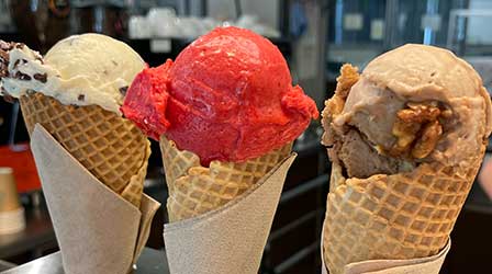 Hausgemachtes Bio-Eis